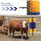 Massage and Cleaning Brush for Dairy Farms